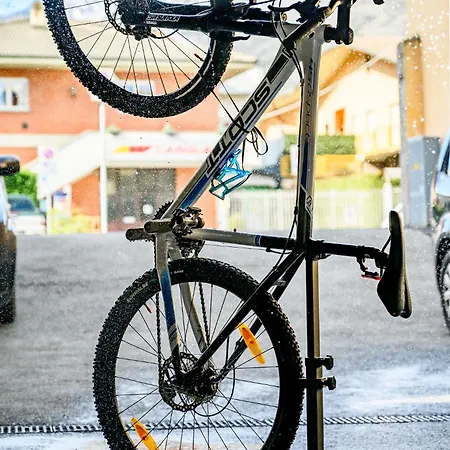Le Lion - Bike &